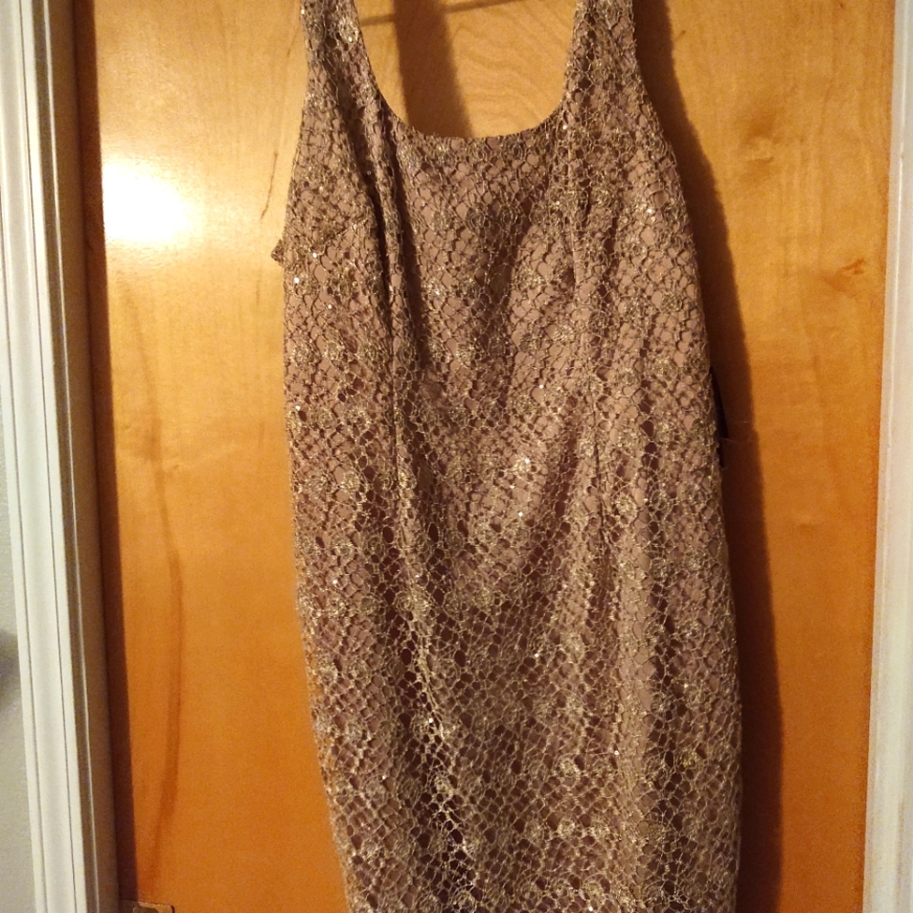 Gold Adrianna Papell Size 14